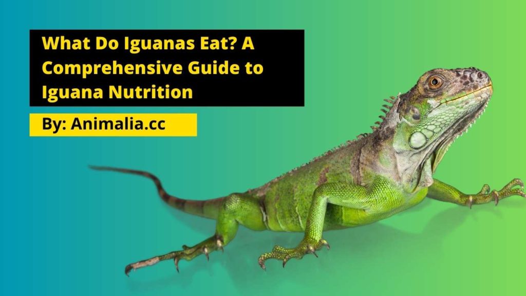 What Do Iguanas Eat? A Comprehensive Guide to Iguana Nutrition 10 what do iguanas eat