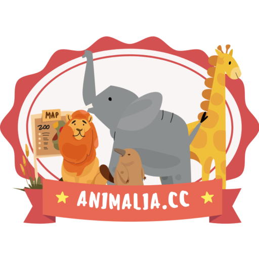 cropped animalia.cc logo