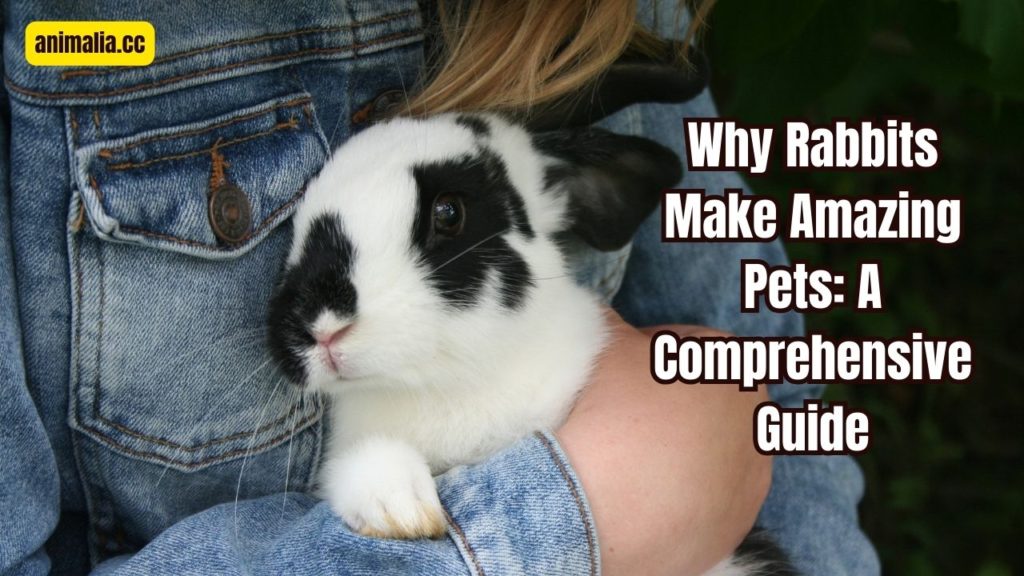 Why Rabbits Make Amazing Pets: A Comprehensive Guide 5 Why Rabbits Make Amazing Pets